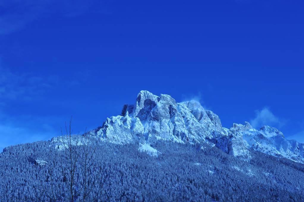 Hotel Garni Carpe Diem Vigo di Fassa Bagian luar foto